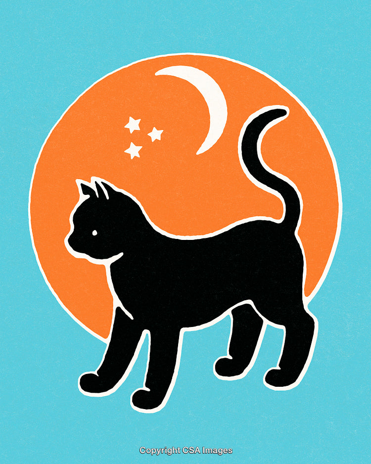 Silhouette of a Black Cat with Moon and Stars Minimalist Design