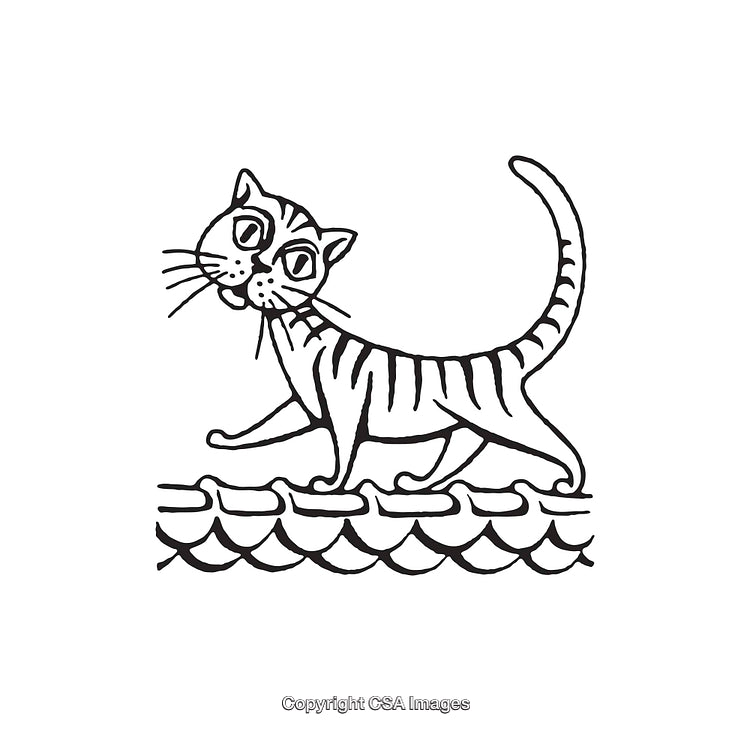 Black and White Line Art Illustration of a Cat on a Wavy Surface