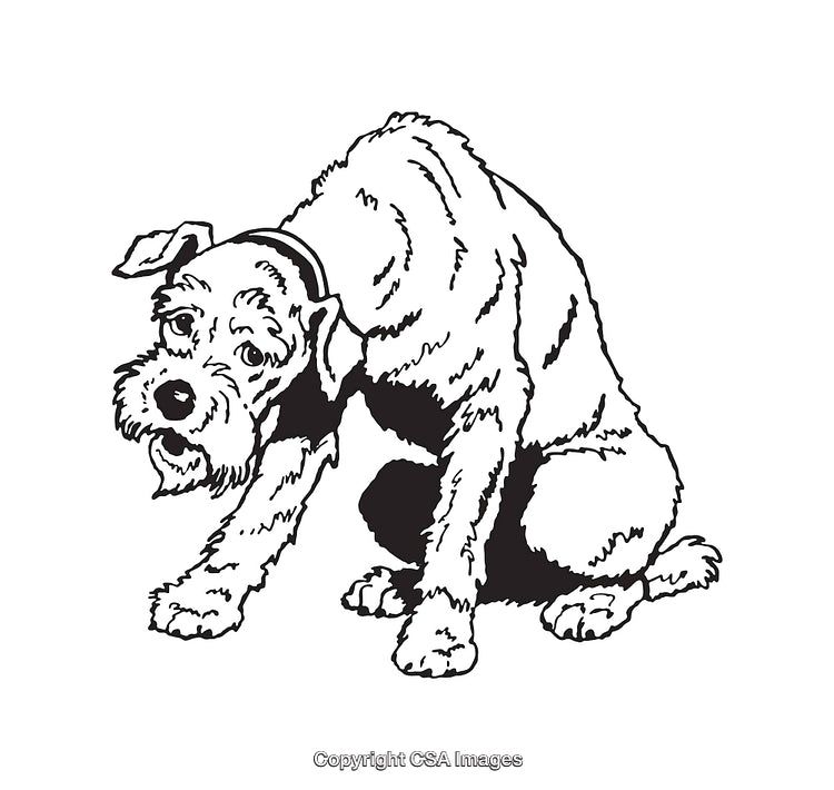 Black And White Line Art Illustration of a Scratching Dog