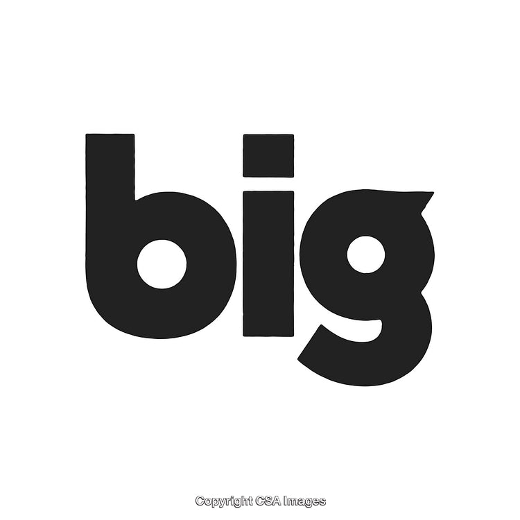 Minimalistic Typography Logo of the Word 'Big' in Bold Black Font