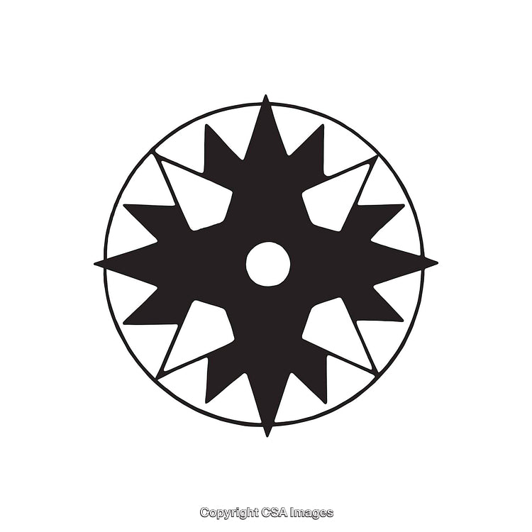 Black and White Geometric Star Shape Design with Unique Pattern Features