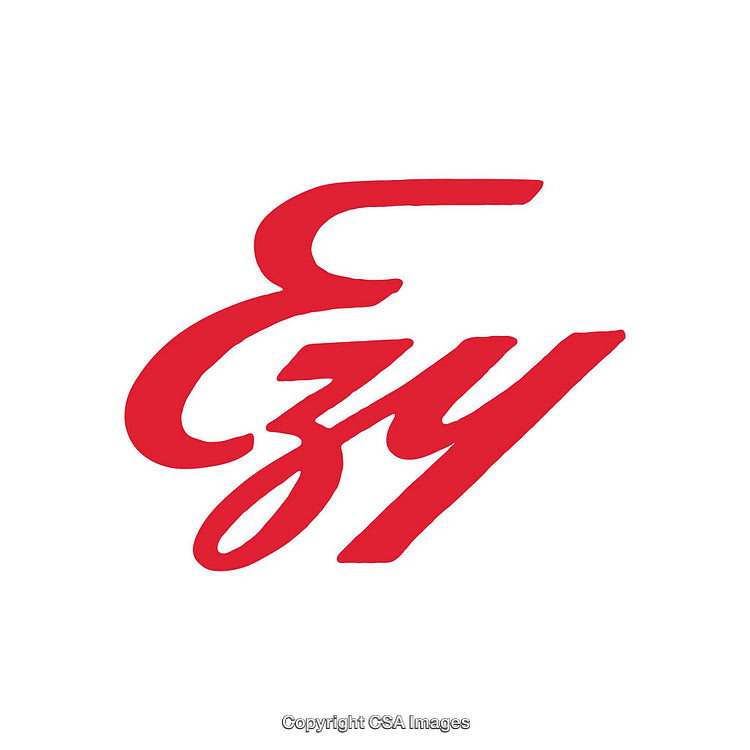 Red Script Text Logo on a Clean White Background