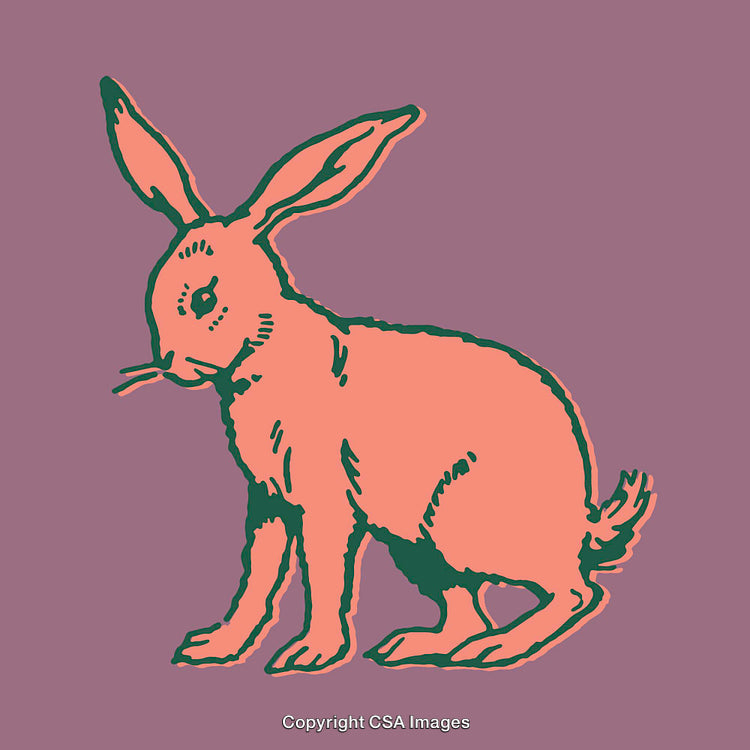 Vibrant Line Art Illustration of Sitting Hare on Purple Background