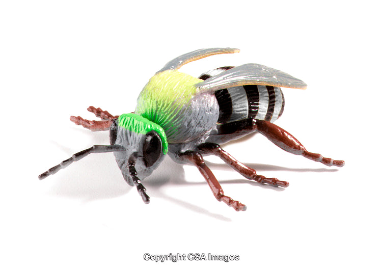 Colorful Plastic Bee Toy Figurine Isolated on White Background