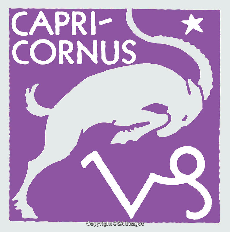Capricorn Astrological Zodiac Sign in Stylized Purple Artwork Form