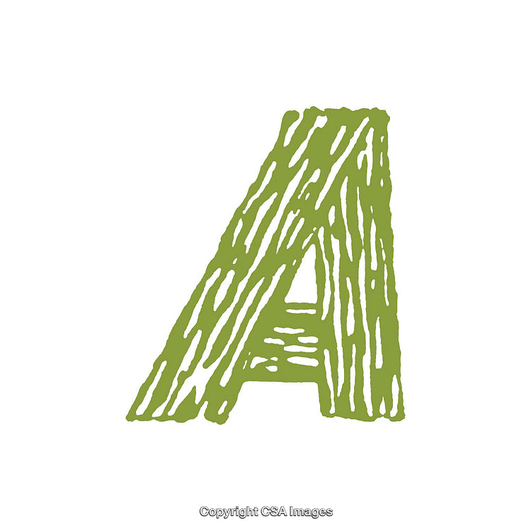 Creative Illustration of the Letter A with a Textured Design