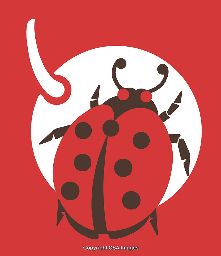 Stylized Illustration of a Ladybug on a Decorative Red Background