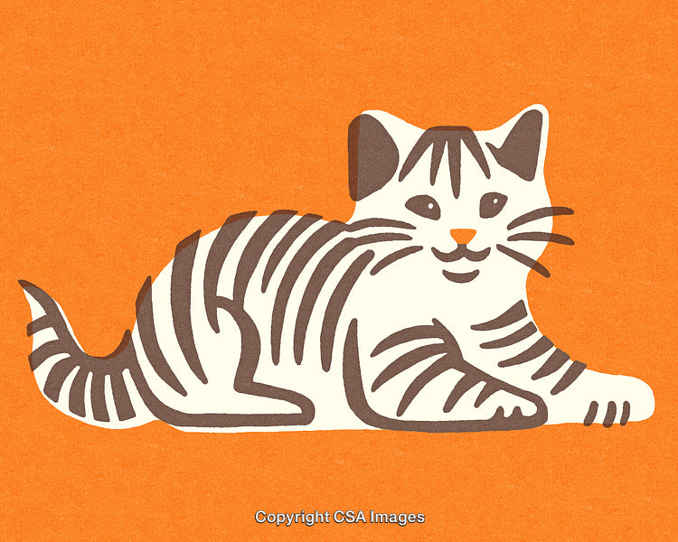 Illustration of a Smiling Tabby Cat on a Bright Orange Background