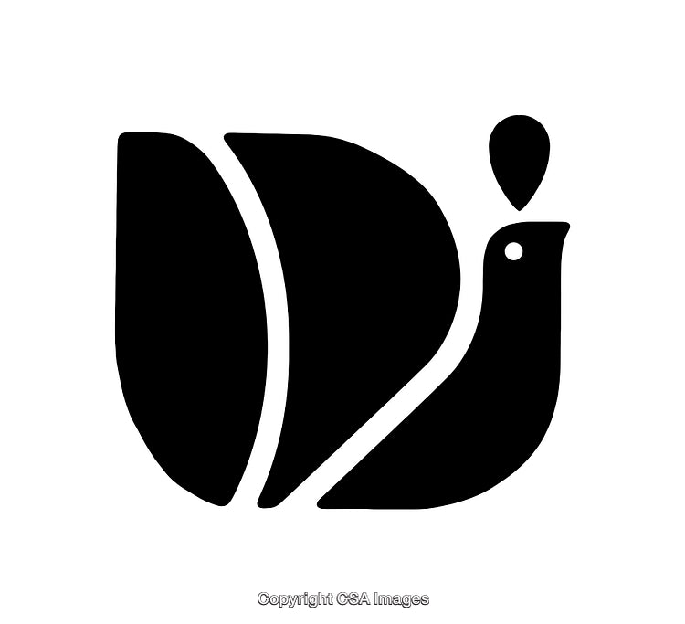 Stylized Black and White Icon of a Modern Bird Design