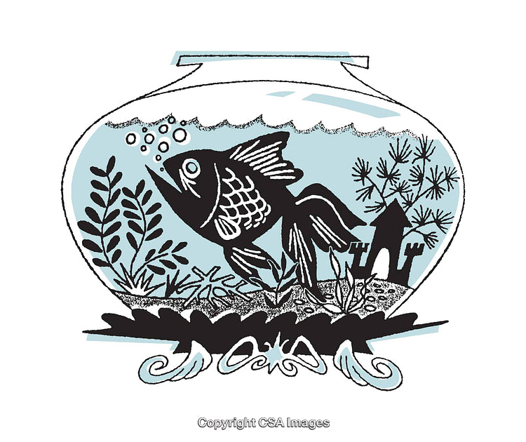 Vibrant Illustration of a Fish in a Decorative Aquatic Setting