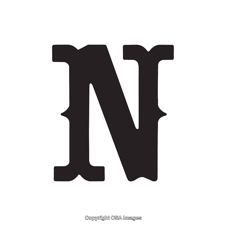 Bold Uppercase Serif Letter "N" on a Clean White Background