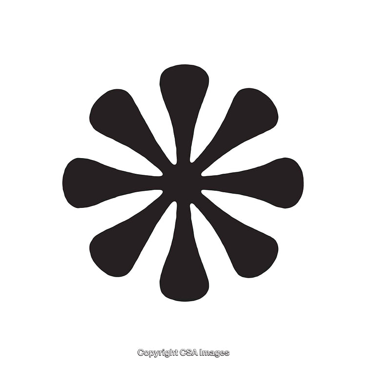Simple Black Asterisk-Like Shape with Isolated White Background