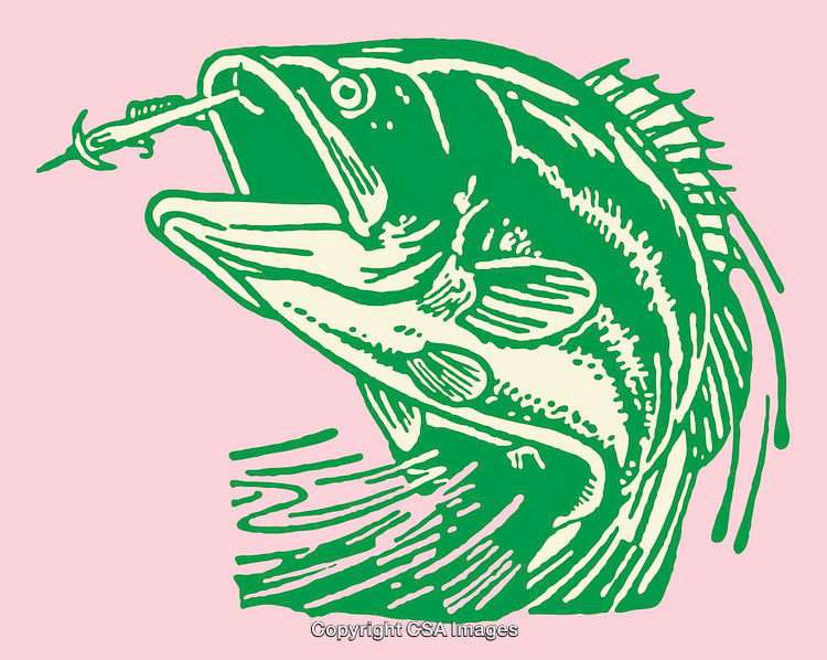 Colorful Line Art Illustration of Fish Catching Lure on Pink Background
