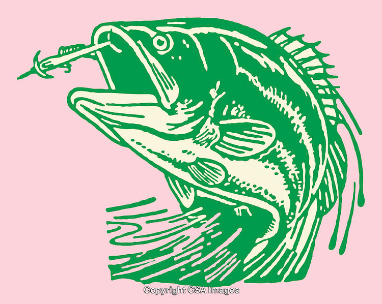 Colorful Line Art Illustration of Fish Catching Lure on Pink Background