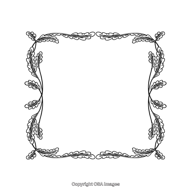 Elegant Black and White Floral Border with Ornamental Leaves and Swirls