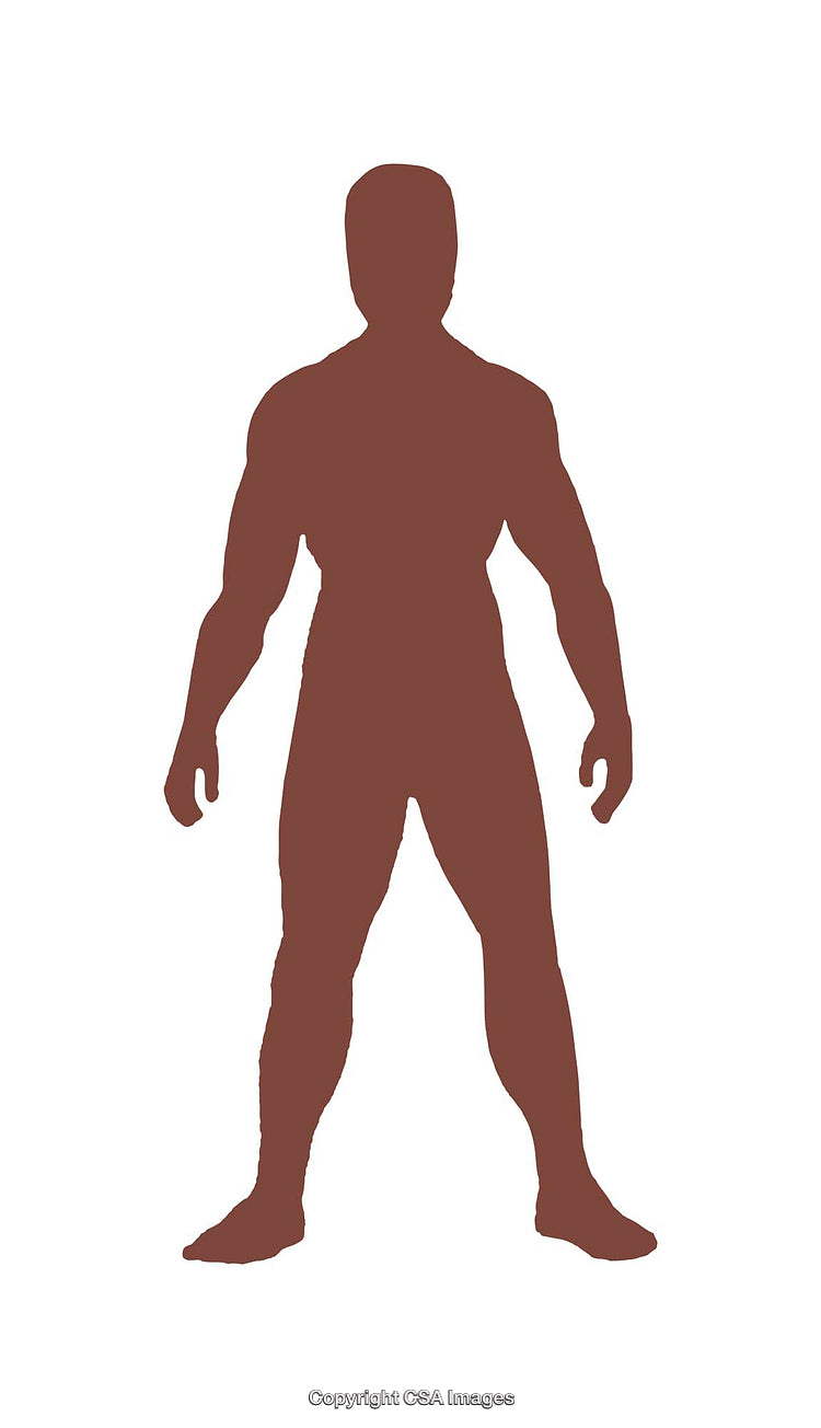 Silhouette of a Muscular Human Figure Standing on a Plain Background