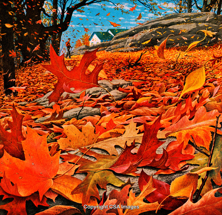 Vivid Autumn Landscape with Falling Leaves and Vibrant Season Colors