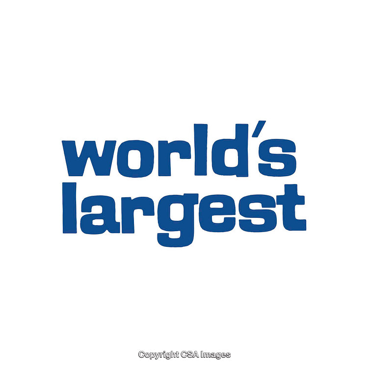 World's Largest Typography in Bold and Blue Styling on White Background