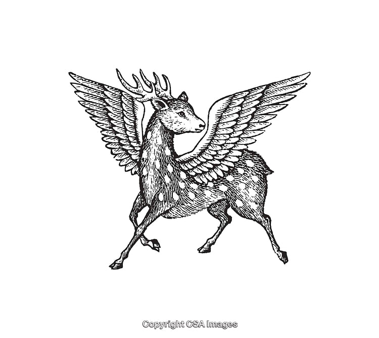 Detailed Black and White Illustration of a Winged Deer Mythical Creature