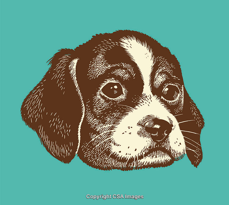 Colorful Illustration of a Cute Puppy Dog on a Bright Teal Background