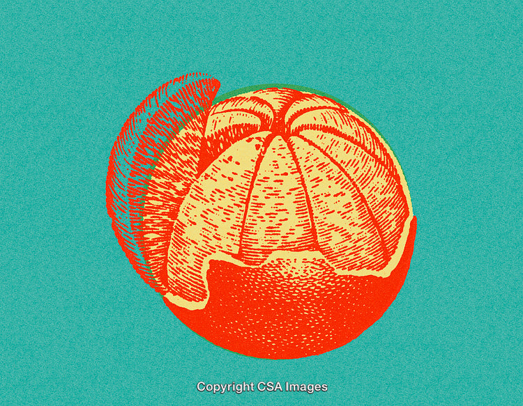 Colorful Retro Illustration of an Orange Against a Teal Background