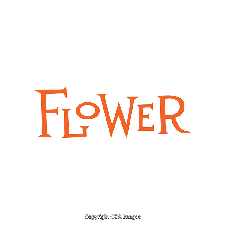 Orange Typography Design Featuring the Word Flower on White Background