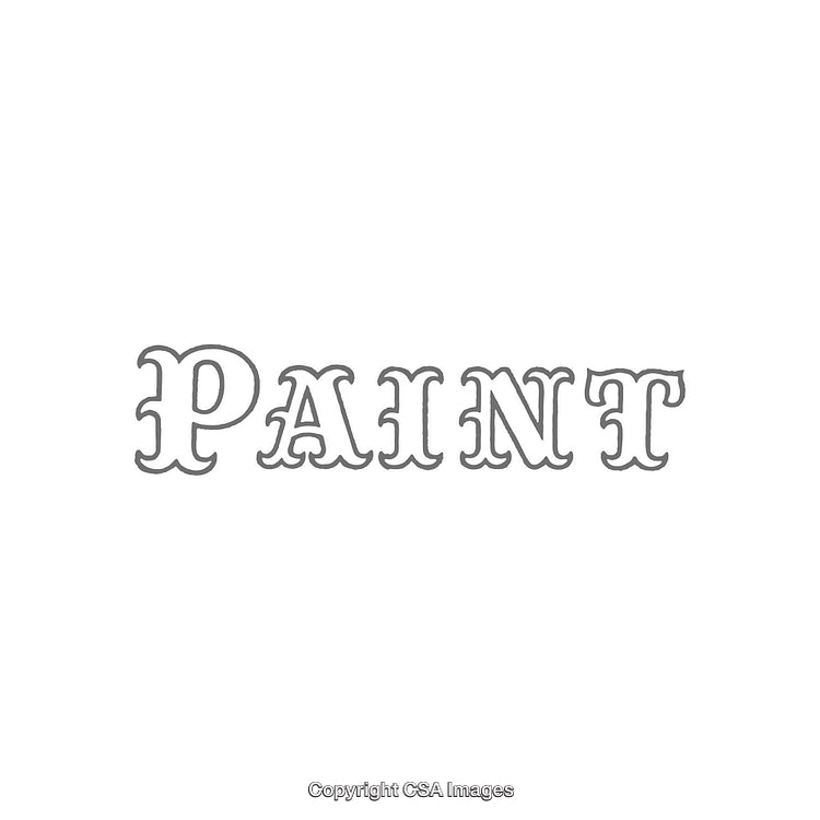 Classic Monochrome Text Design Featuring the Word Paint in Ornate Lettering