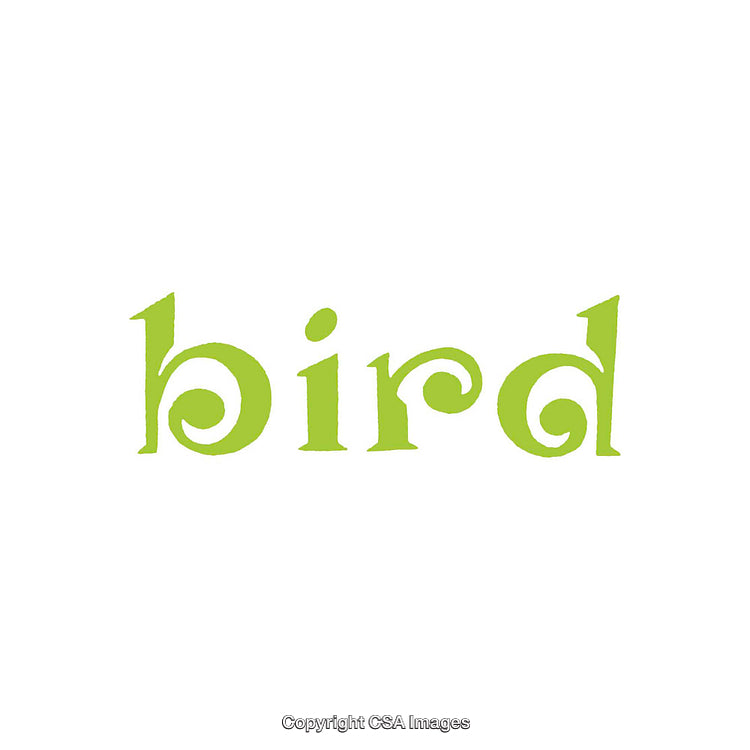 Creative Lime Green Typography Featuring the Word Bird in Elegant Font