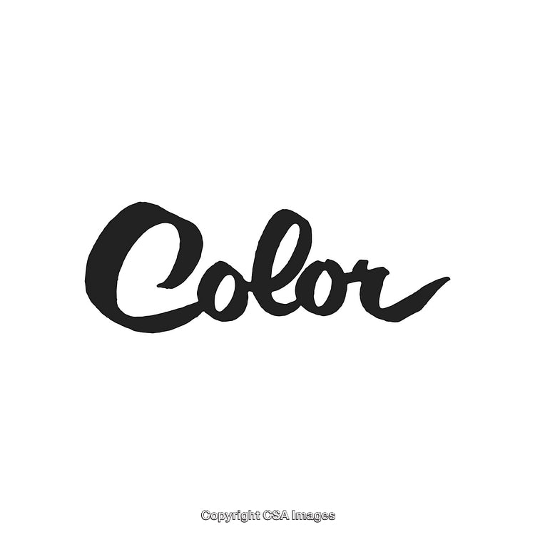 Elegant Vintage Style Brush Script Reading 'Color' on White Background