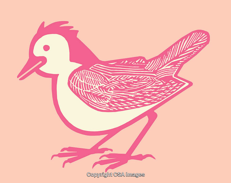 Pink and White Bird Line Art Illustration on Pastel Background