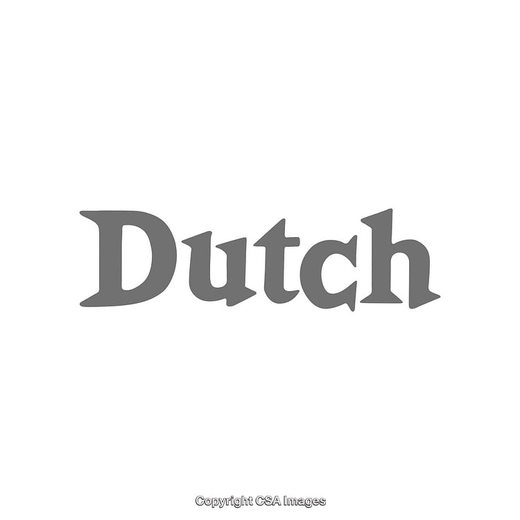 Gray Dutch Text in a Minimalist Bold Style on White Background