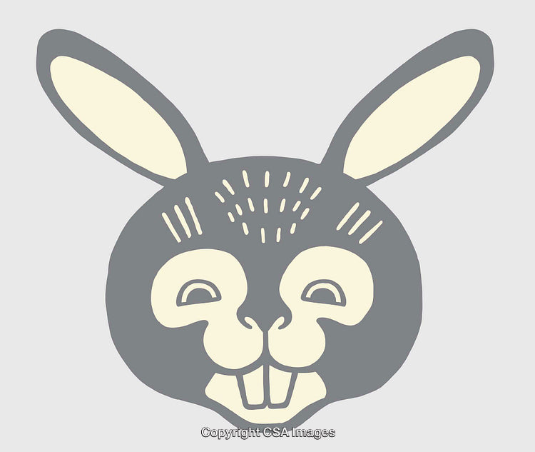Stylized Line Art Illustration of a Rabbit Face in Muted Tones