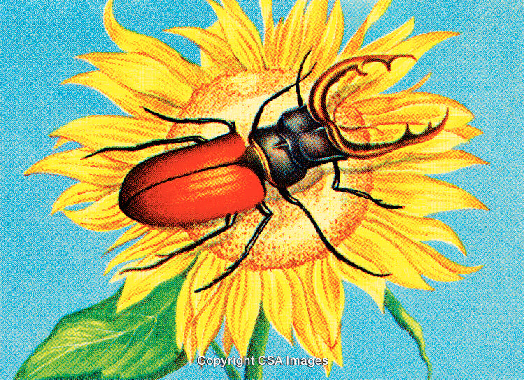 Illustration of Stag Beetle Resting on a Vibrant Sunflower Under Blue Sky
