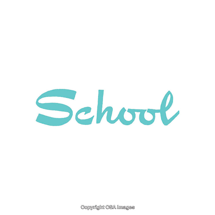 Blue Script Style School Text on a White Background