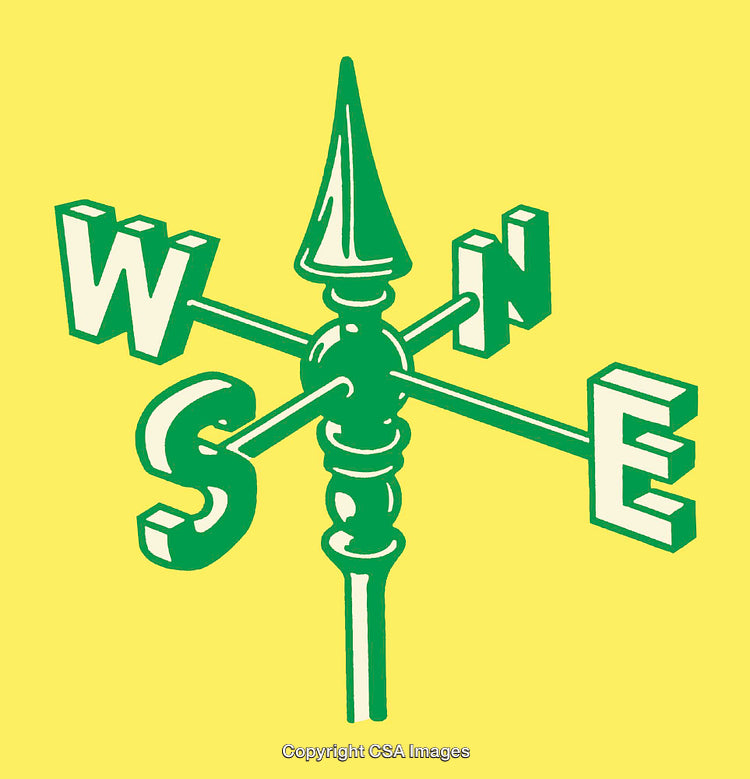 Green Compass Rose Design on Vibrant Yellow Background