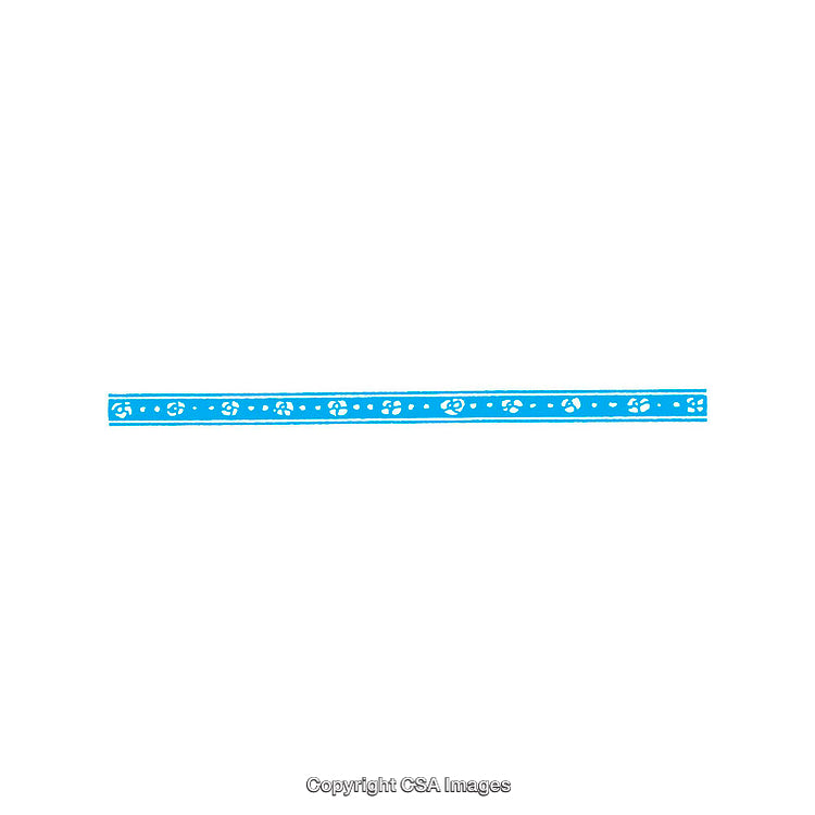 Decorative Blue Ruler With White Flower Pattern on White Background
