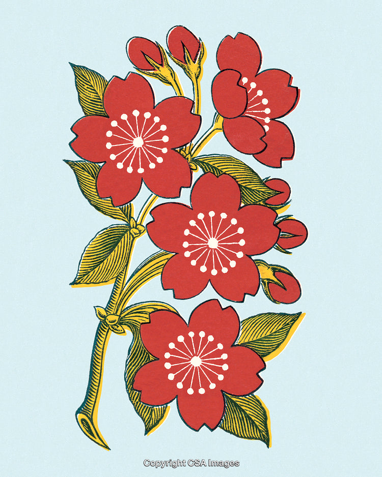 Stylized Illustration of Vibrant Red Flowers on a Light Blue Background
