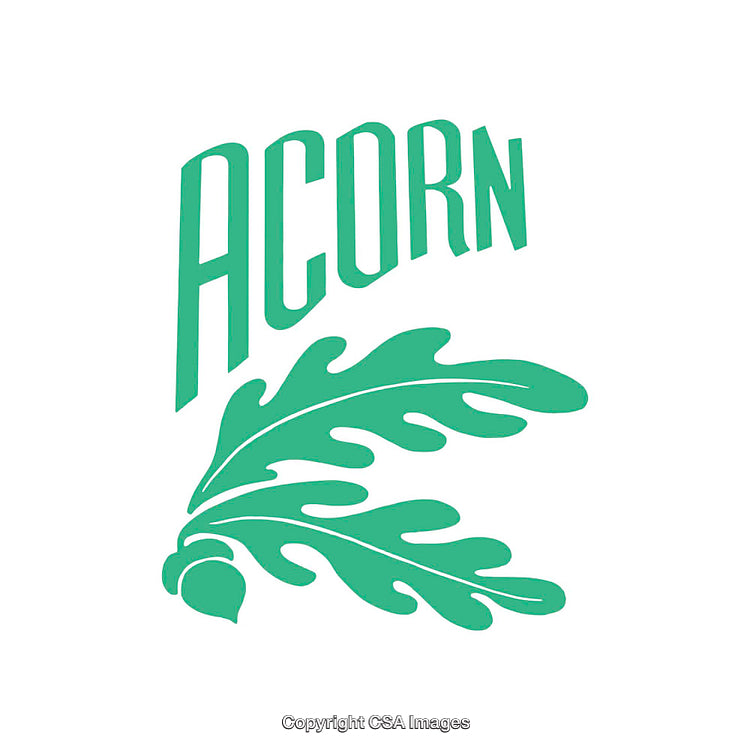 Acorn Themed Graphic Featuring Leaf Design in Minimalist Green Style