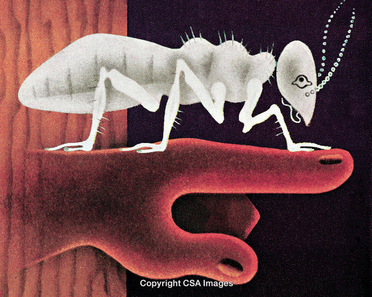 Abstract Illustration of a Termite on a Human Finger with Artistic Elements