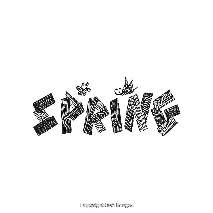 Creative Hand-Drawn Spring Typography with Butterflies and Floral Accents
