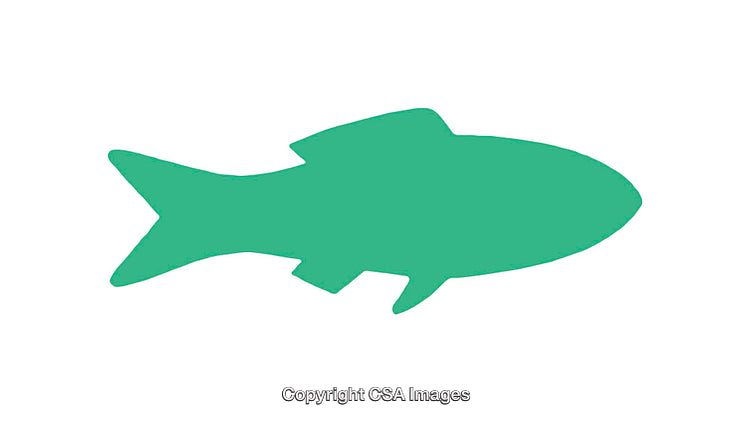 Green Fish Silhouette on White Background for Design Projects