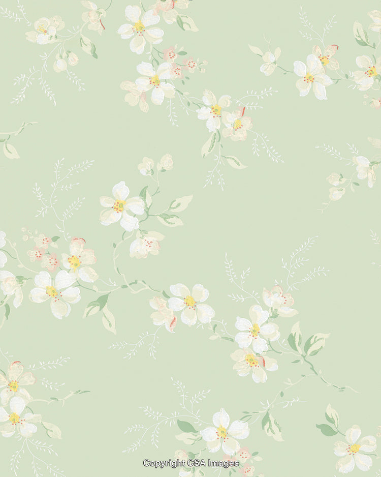 Flower Pattern