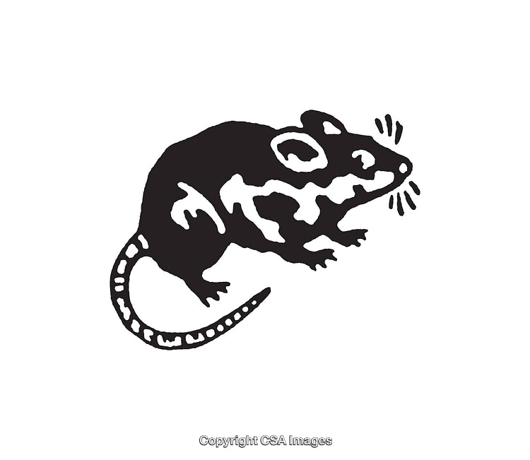 Black and White Line Art of a Rat with Simple Details