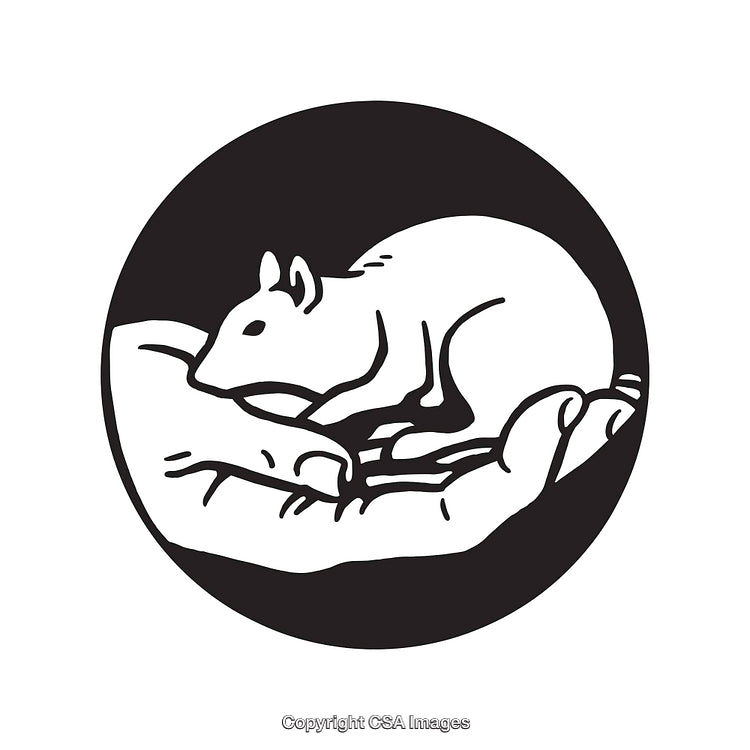 Monochrome Line Art of Small Mouse Cradled in Hands