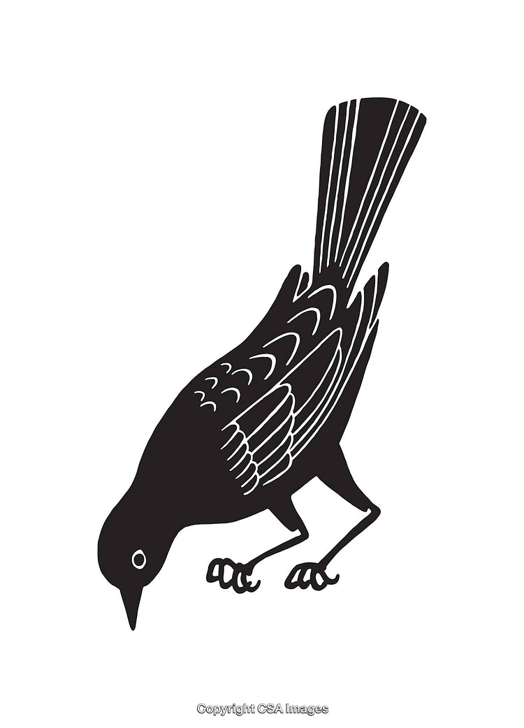 Black and White Illustration of a Bird Pecking at the Ground