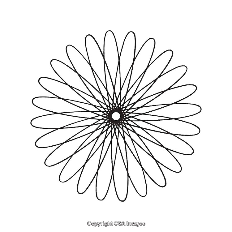 Symmetrical Black and White Abstract Design with Floral Geometry