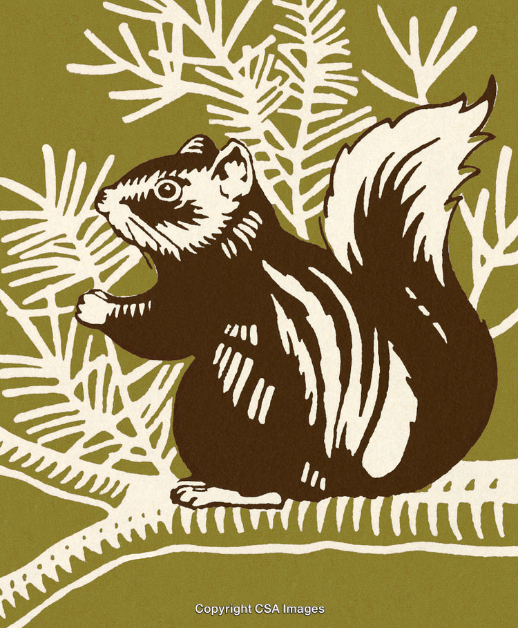 Stylized Art of a Squirrel on a Pine Tree Branch Illustration