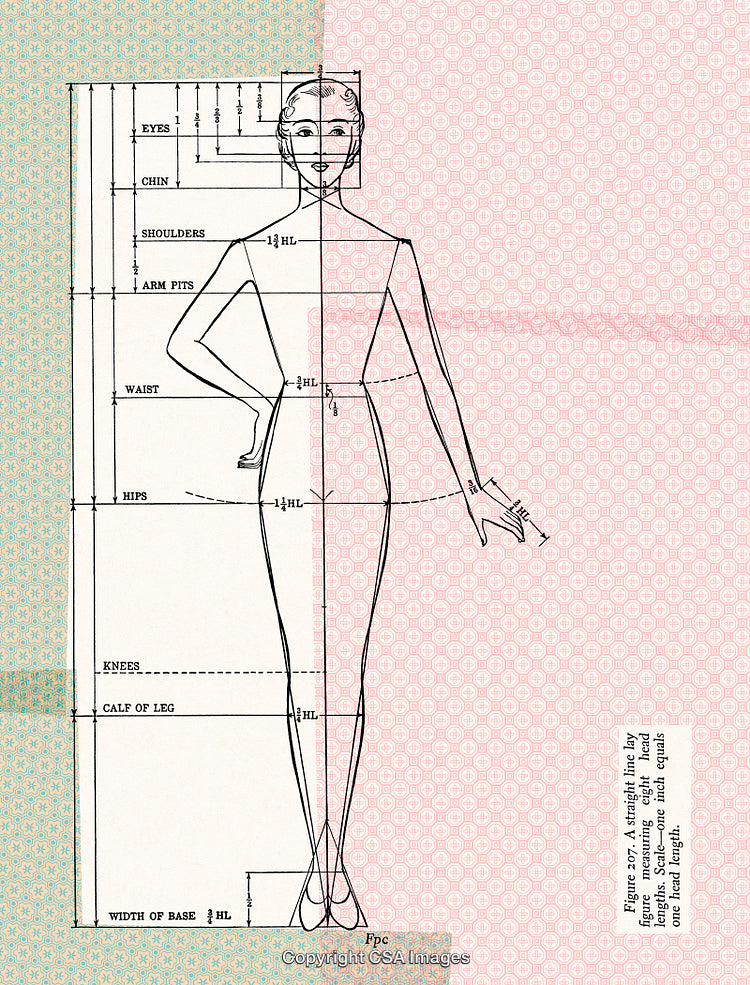 Illustration of Proportion and Measurement in a Fashion Design Concept