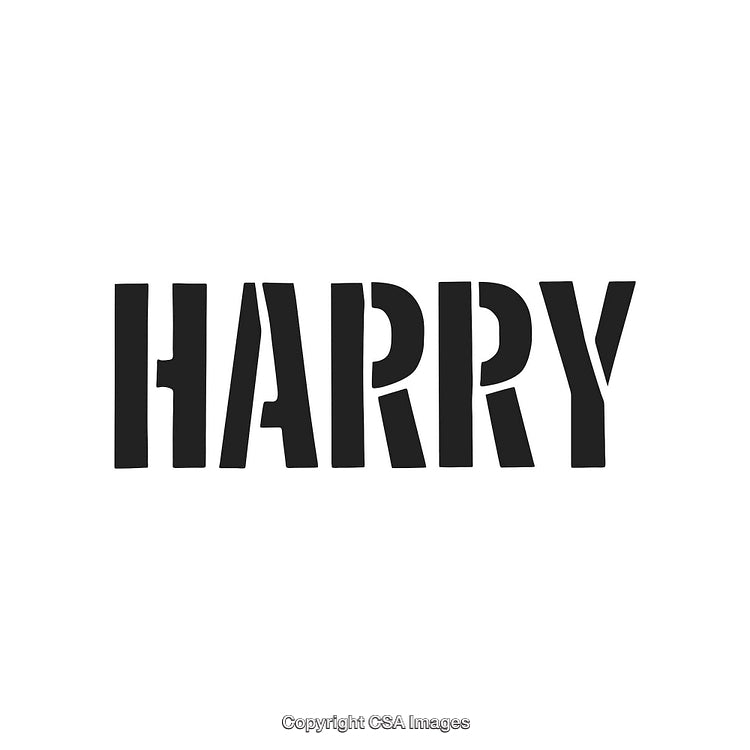 Bold Black Typography Spelling the Name Harry on White Background