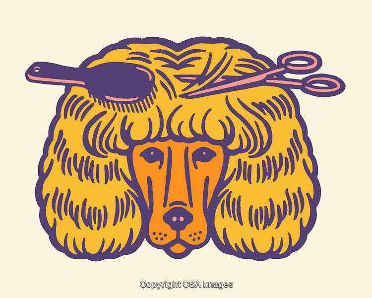 Colorful Line Art of a Groomed Dog With Scissors and Brush